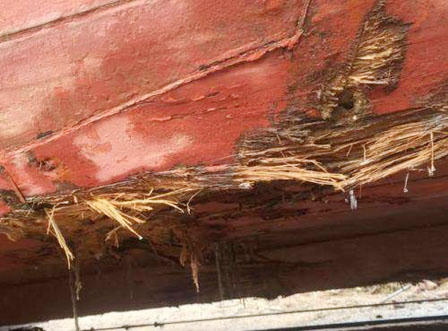 Cứu hộ tàu cá đâm phải đá ngầm cùng 18 thuyền viên