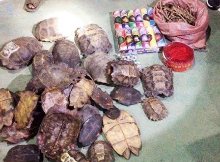 Xe chở phế liệu mang hàng cấm từ Lào về Việt Nam