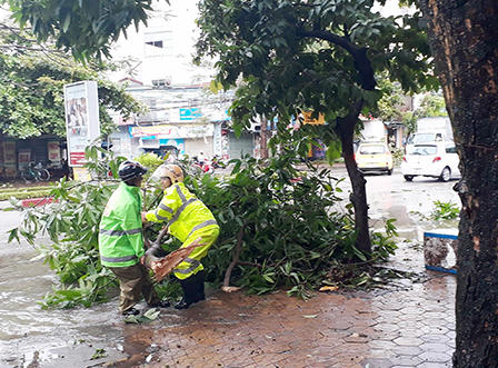 TP.Vinh xơ xác sau bão số 2