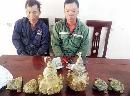 Bôi bùn đất lên đồ cổ rởm rồi gạ bán giá rẻ