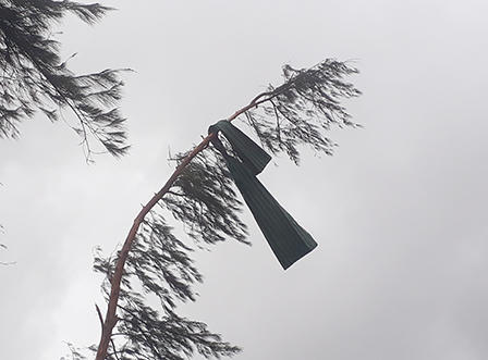 Cửa Lò xác xơ sau lốc xoáy, mái nhà rách toác vo thành đống