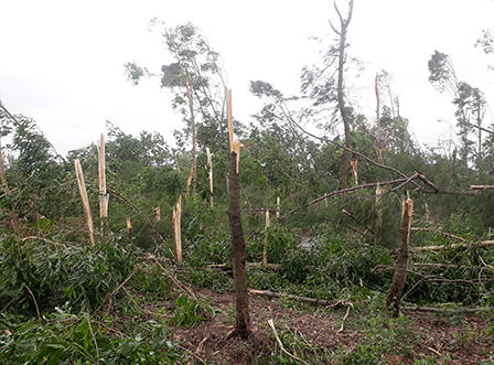 Cửa Lò xác xơ sau lốc xoáy, mái nhà rách toác vo thành đống