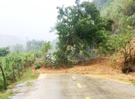 Mưa lớn khiến 1 người chết, 3 người mất tích ở Nghệ An