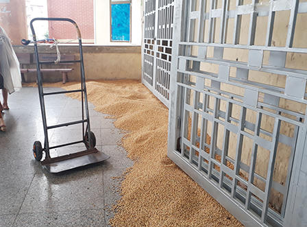 Vì sao tiểu thương chợ Vinh thiệt hại tiền tỷ ?