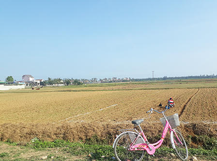 Tiếp vụ: Xã “om” tiền ngân sách hơn 6 năm: Lập danh sách khống để nhận về 259 triệu