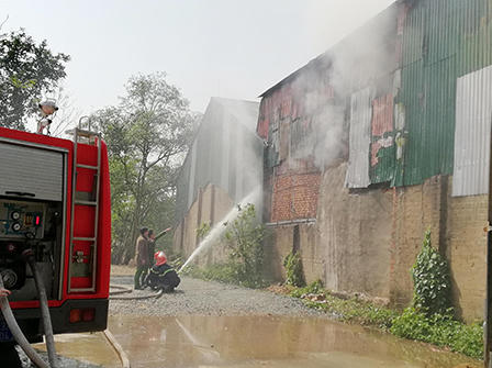 Bà hỏa ghé xưởng gỗ ép ngày cận Tết