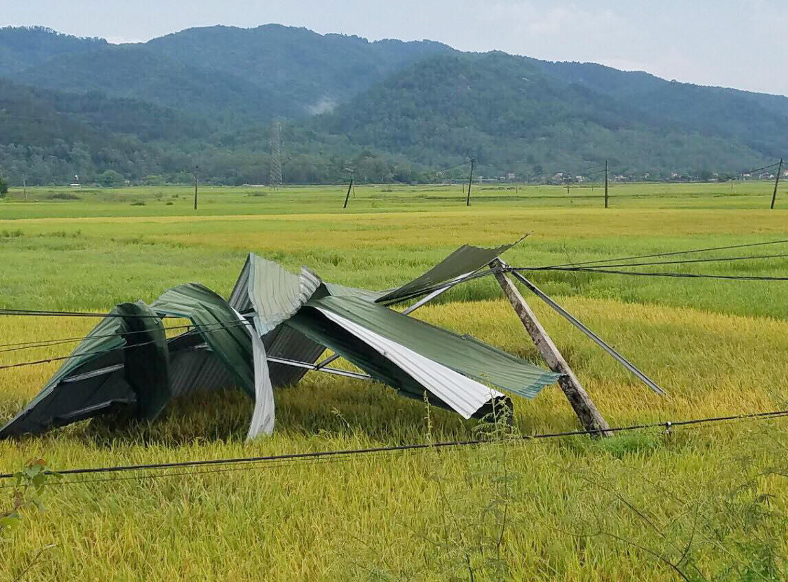 Lốc xoáy bốc mái tôn trùm lên xe tải đang chạy trên Quốc lộ