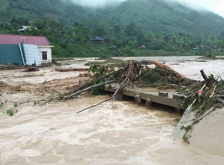 Sau mưa lũ, người dân xót lòng hái dưa hấu cho trâu bò ăn, thiệt hại hơn 600 tỷ đồng