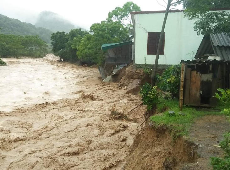 Sau mưa lũ, người dân xót lòng hái dưa hấu cho trâu bò ăn, thiệt hại hơn 600 tỷ đồng