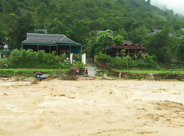 Sau mưa lũ, người dân xót lòng hái dưa hấu cho trâu bò ăn, thiệt hại hơn 600 tỷ đồng