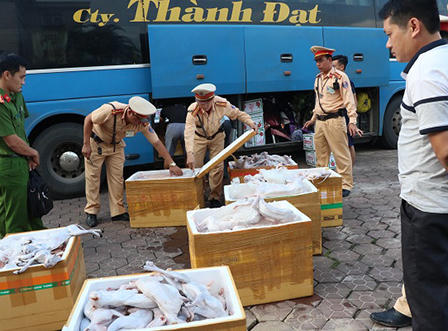 Gần 1 tấn thịt mèo không rõ nguồn gốc trên xe tải từ Nam ra Bắc