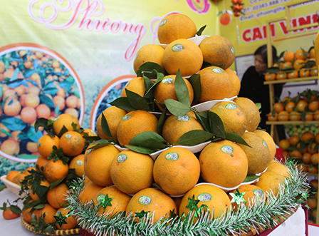 60 gian hàng tham gia hội chợ cam Vinh lần thứ 2