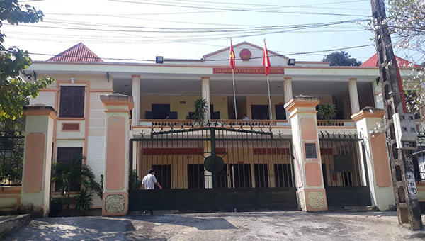 'Cười ra nước mắt' chuyện xét nghiệm ADN cho… bò để tìm chủ