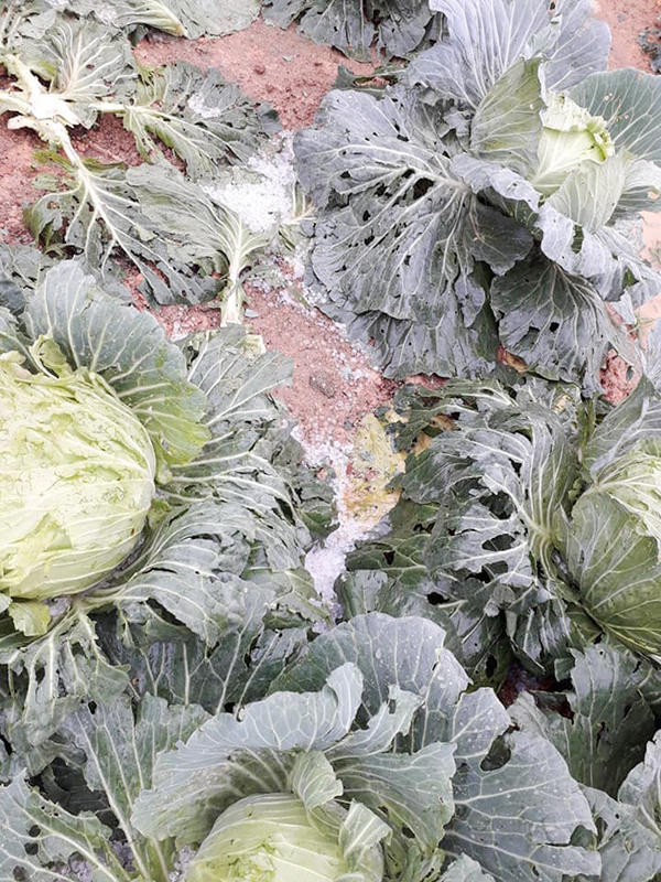 Mưa đá hơn 30 phút tại xã vùng biên