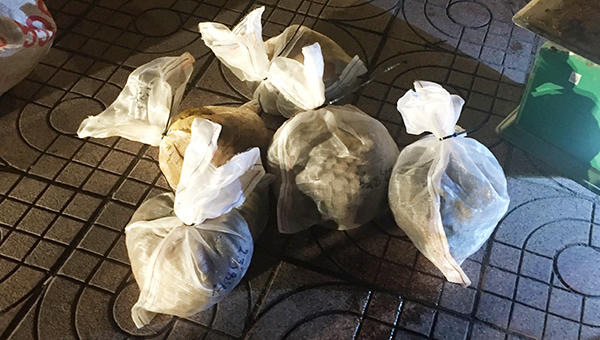 Bắt giữ đối tượng mua bán 11 con tê tê quý hiếm