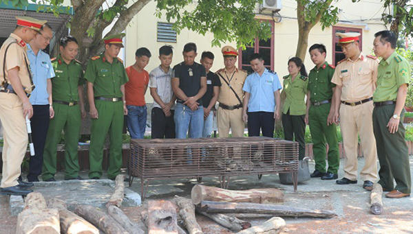 Phát hiện động vật hoang dã và gỗ quý trên xe khách 