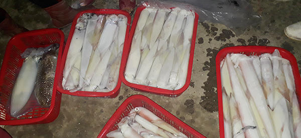 Náo nức tàu chở sản vật biển cập cảng Cửa Sót ngày lễ 