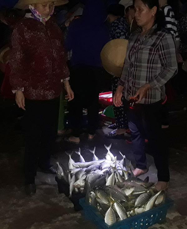 Náo nức tàu chở sản vật biển cập cảng Cửa Sót ngày lễ 