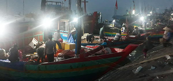 Náo nức tàu chở sản vật biển cập cảng Cửa Sót ngày lễ 