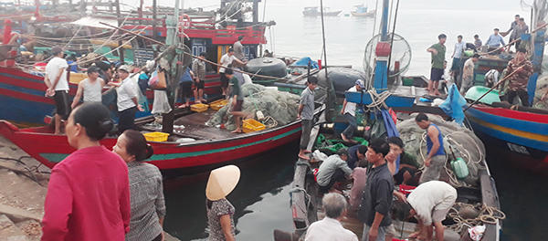 Náo nức tàu chở sản vật biển cập cảng Cửa Sót ngày lễ 