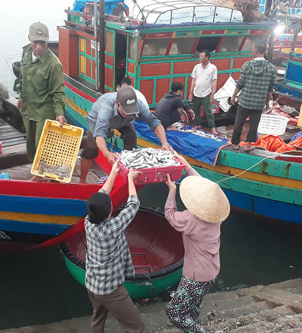 Náo nức tàu chở sản vật biển cập cảng Cửa Sót ngày lễ 