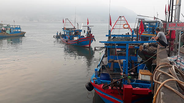 Náo nức tàu chở sản vật biển cập cảng Cửa Sót ngày lễ 