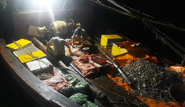 Náo nức tàu chở sản vật biển cập cảng Cửa Sót ngày lễ 