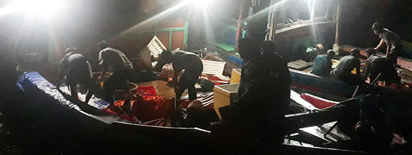 Náo nức tàu chở sản vật biển cập cảng Cửa Sót ngày lễ 