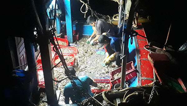 Náo nức tàu chở sản vật biển cập cảng Cửa Sót ngày lễ 