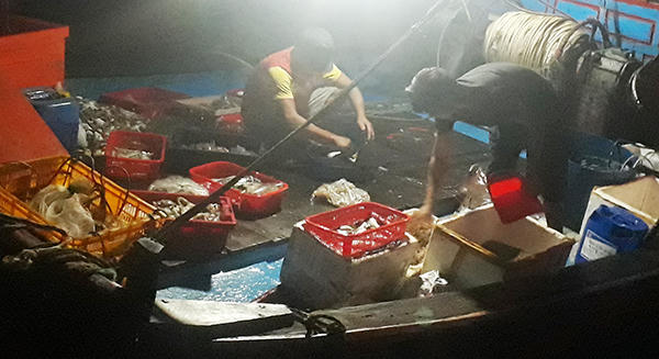 Náo nức tàu chở sản vật biển cập cảng Cửa Sót ngày lễ 