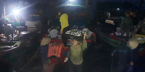 Náo nức tàu chở sản vật biển cập cảng Cửa Sót ngày lễ 