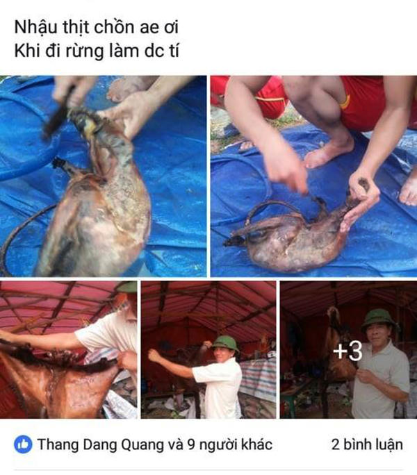 Làm rõ hình ảnh người dân chụp ảnh giết thịt chồn bay “khoe” trên facebook