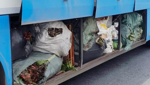 Phát hiện hai xe khách chở hàng hóa không rõ nguồn gốc xuất xứ