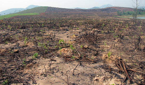 Khởi tố Trưởng Ban QLRPH Quỳnh Lưu và 3 cán bộ bị gây thất thoát hơn 700 triệu đồng