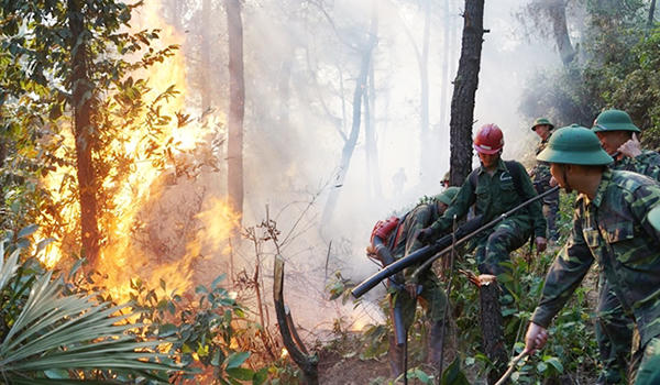 Xử lý nghiêm người buông lỏng quản lý để xảy ra cháy rừng ở Hà Tĩnh
