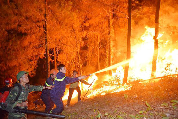 Xử lý nghiêm người buông lỏng quản lý để xảy ra cháy rừng ở Hà Tĩnh