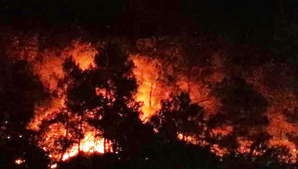 Xử lý nghiêm người buông lỏng quản lý để xảy ra cháy rừng ở Hà Tĩnh