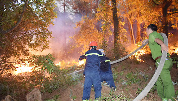 Khởi tố, tạm giam người biến rừng phòng hộ thành 'biển lửa' ở Hà Tĩnh