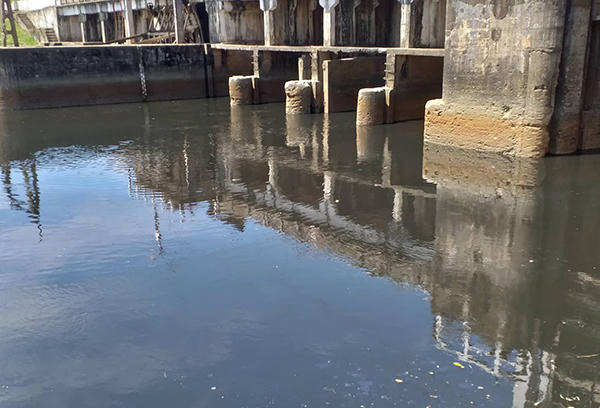 Sông Vinh chuyển màu đen, người dân lo lắng