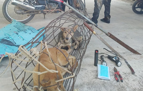 Bị vây bắt, hai “cẩu tặc” rút kiếm chống trả lực lượng chức năng