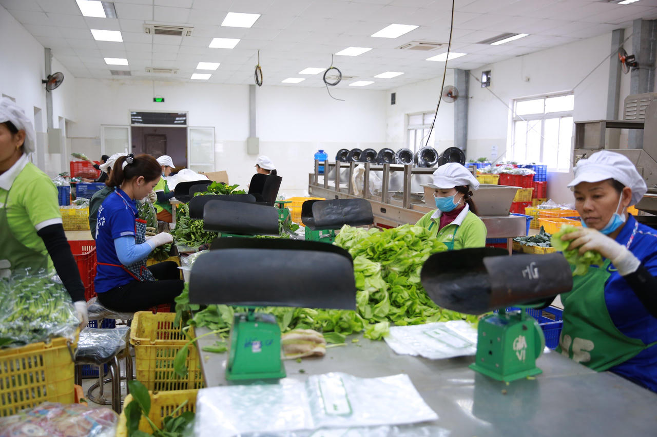 Cục thuế Nghệ An: Vừa phòng chống dịch, vừa tích cực thu ngân sách