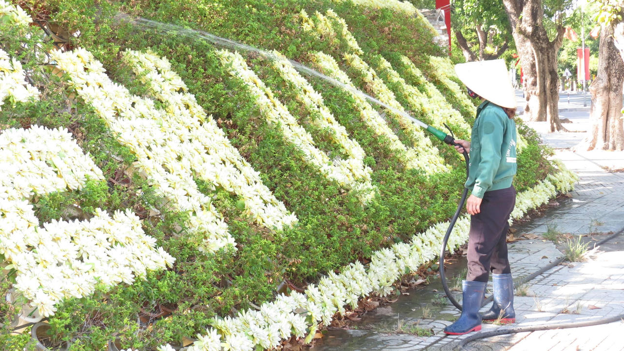 Thành phố Vinh vắng bóng người ngày đầu siết chặt “ai ở đâu ở yên đó”