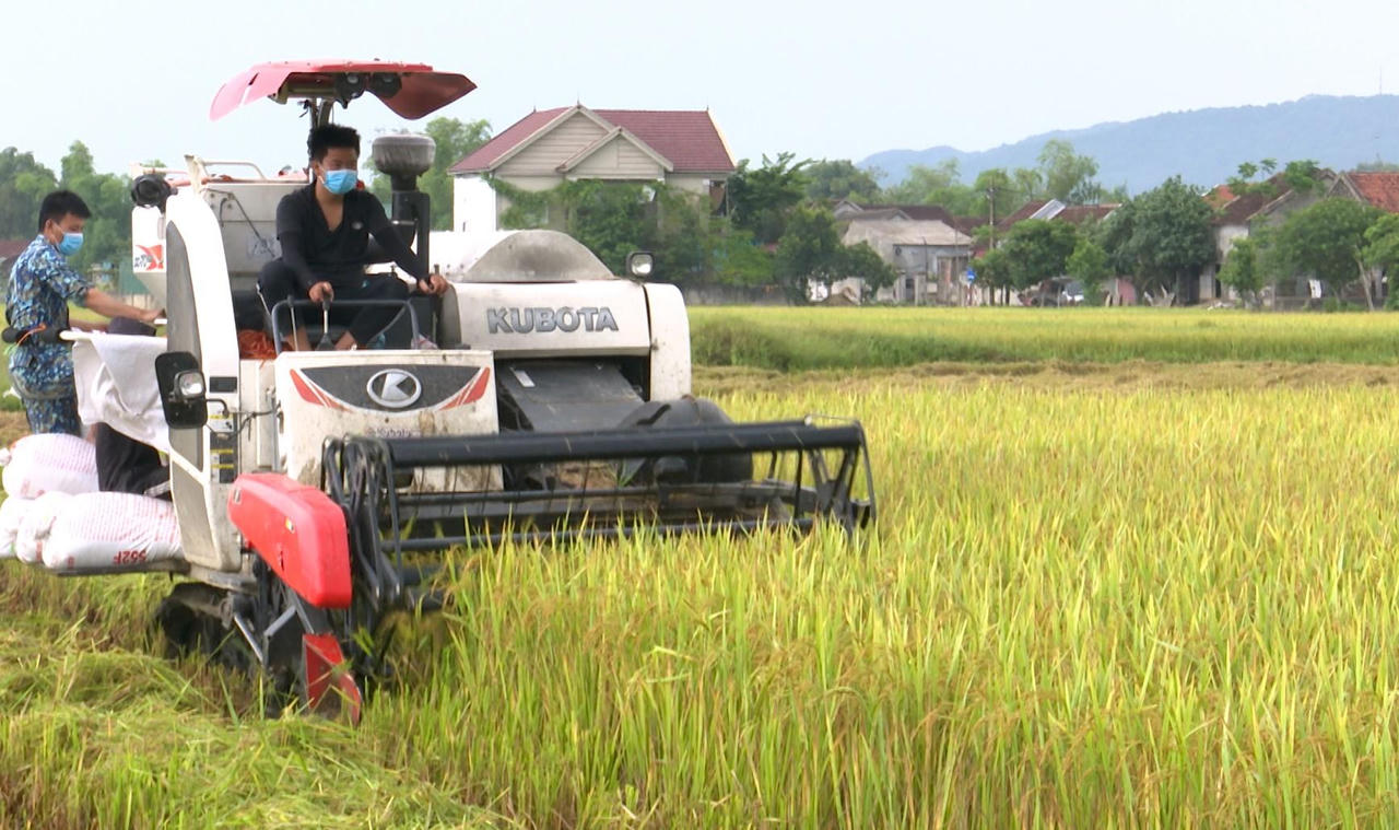 Hà Tĩnh 'chạy đua' với thời gian để ứng phó với bão CONSON