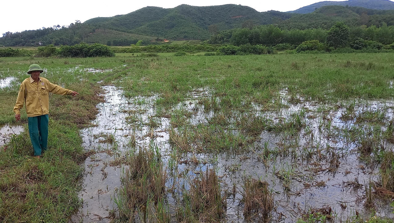 Tiếp vụ trang trại lợn “khủng” không phép: Chủ tịch UBND tỉnh chỉ đạo thành lập đoàn kiểm tra
