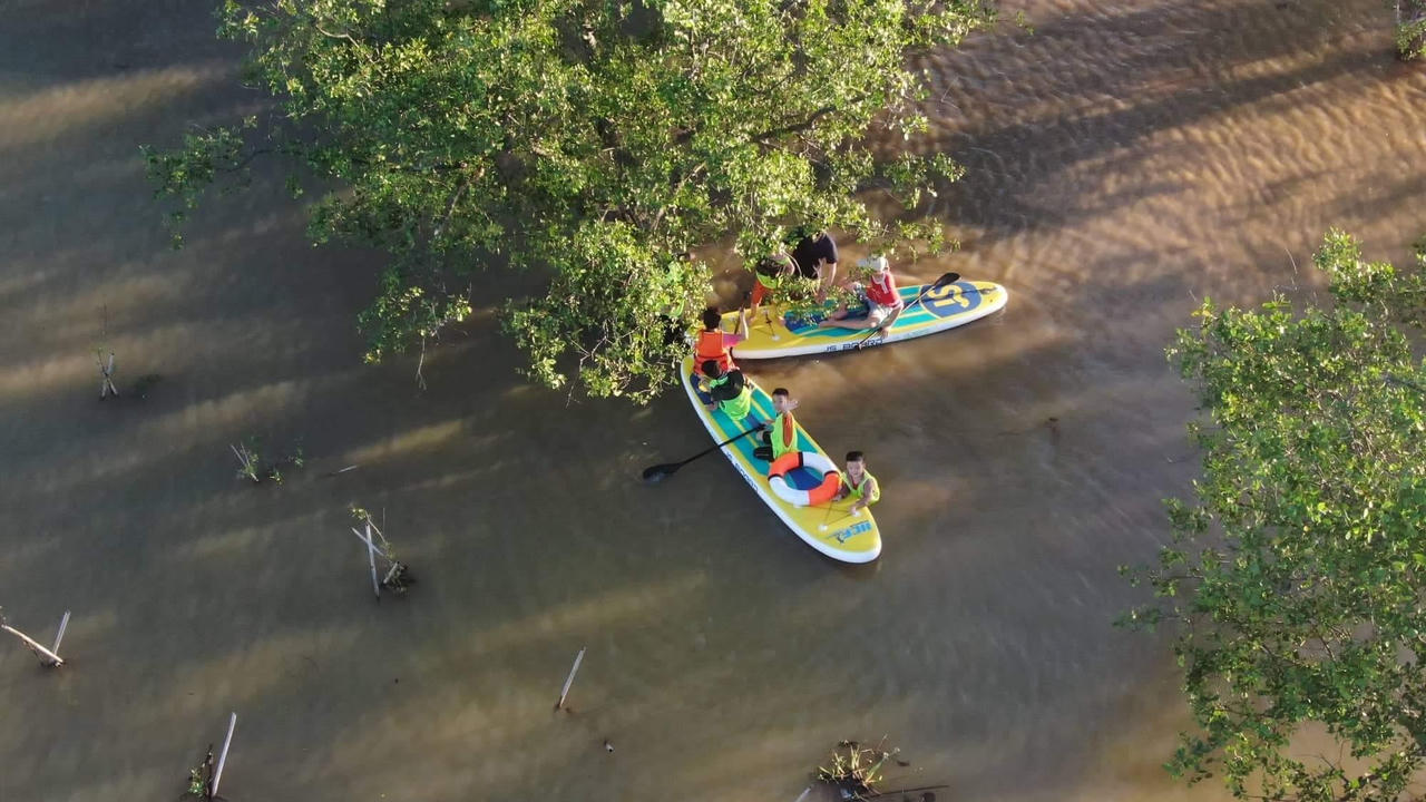 Khu rừng bần độc đáo bên bờ sông Lam