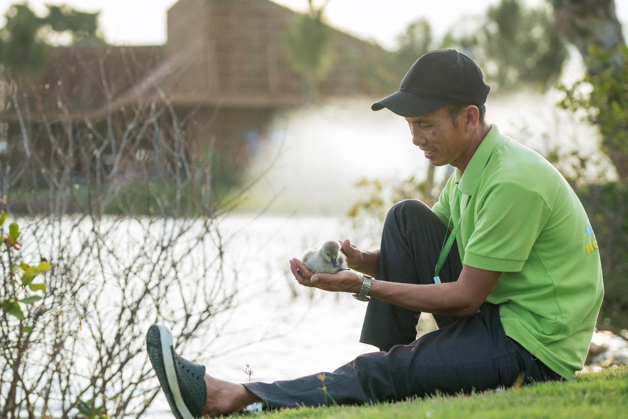 Nghỉ lễ 2/9, trẻ em thành Vinh nô nức đổ về Eco Central Park ngắm thiên nga mới sinh