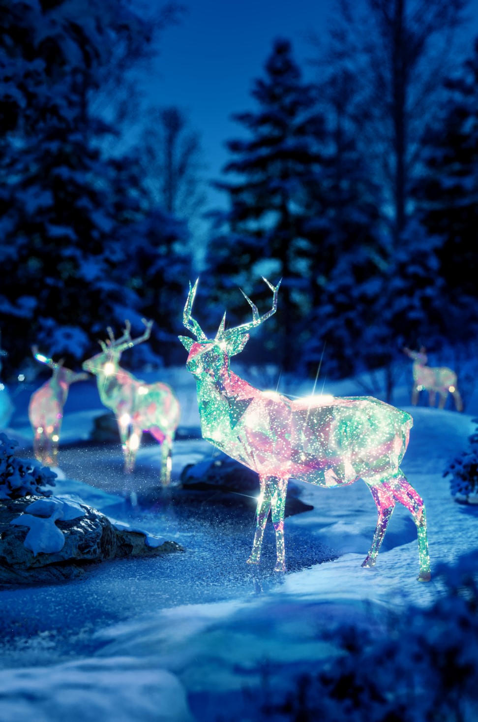 Xuất hiện khu rừng pha lê cùng cây thông giáng sinh nhiều màu sắc nhất mùa Noel 2024