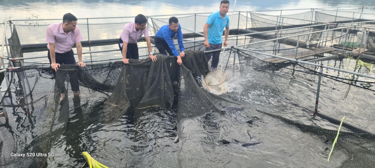 Đồng bào dân tộc thiểu số ở Nghệ An ổn định nhà cửa, chuyển đổi nghề nghiệp nhờ vốn vay ưu đãi 