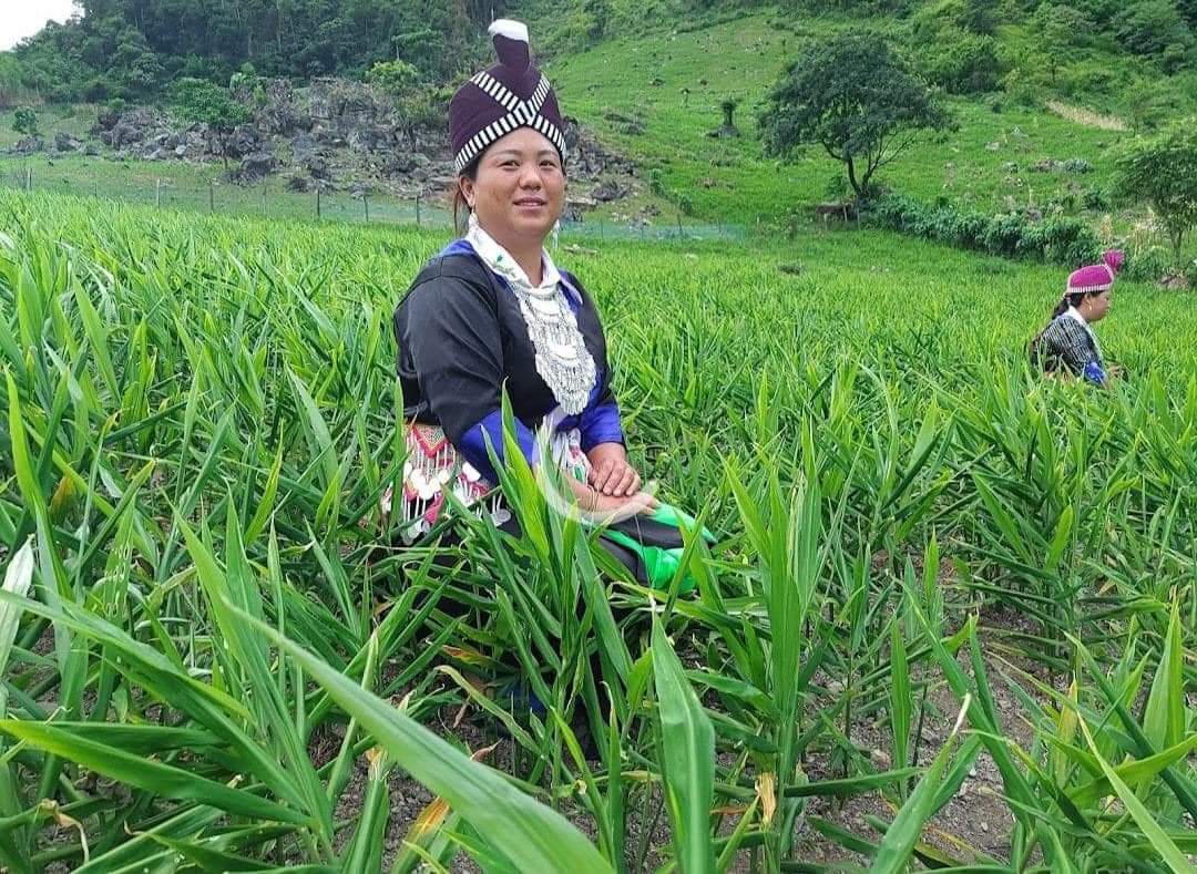 Xóa đói, giảm nghèo là nhiệm vụ quan trọng trong chính sách cho đồng bào dân tộc thiểu số tại Nghệ An