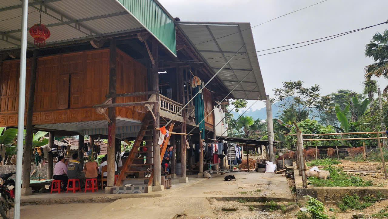 Vốn chính sách "cánh cửa" mở ra tương lai no ấm nơi vùng núi Nghệ An